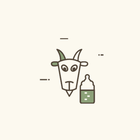 Organic Goat Milk Baby Formula